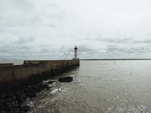 Désinsectisation dératisation Saint-Nazaire